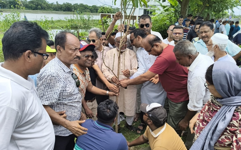 বাগেরহাটে শহীদদের স্মরণে বিএনপির বৃক্ষরোপণ কর্মসূচি
