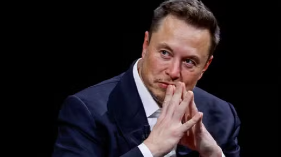 এবার উইকিপিডিয়ার বিকল্প চালু করলেন ইলন মাস্ক