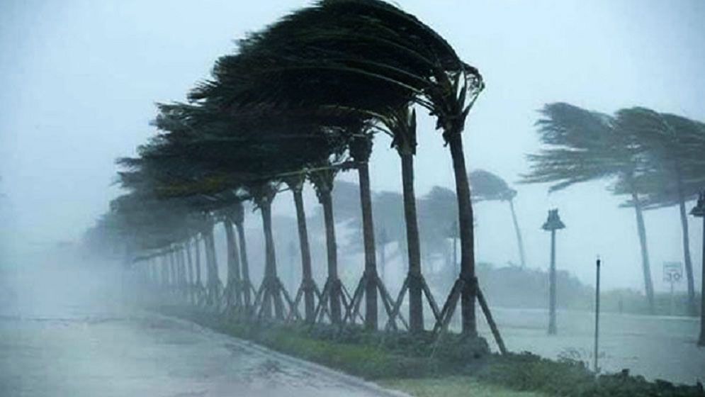 সংযুক্ত ছবি