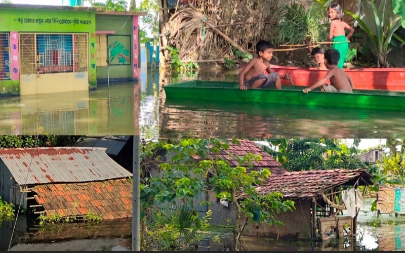 শার্শার বাহাদুরপুরে বন্যা: শত শত পরিবার পানিবন্দী, ত্রাণের অভাবে চরম দুর্ভোগ