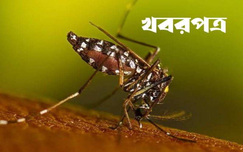 আজ ডেঙ্গুতে আক্রান্ত ২৩৪ জন, বরিশালে ১১৯