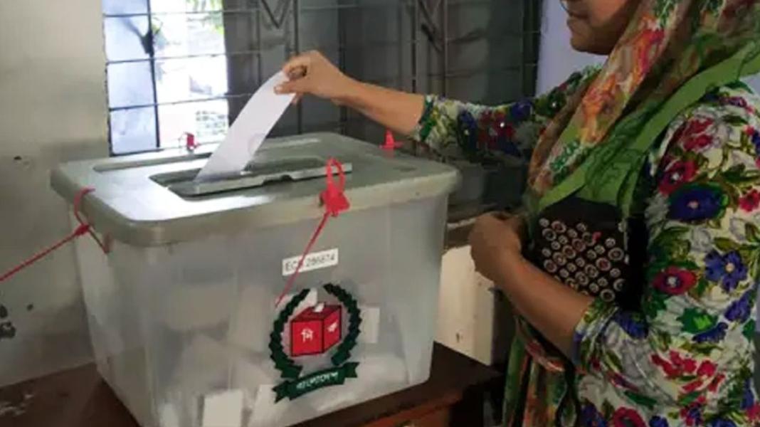 পটুয়াখালীর ৪ আসনে প্রায় ৮০ হাজার নতুন সহ ১৫ লক্ষাধিক ভোটার