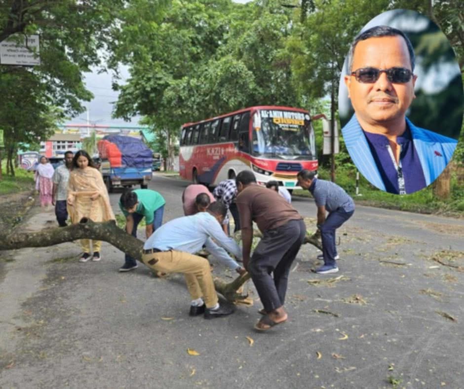 গোপালগঞ্জের রাস্তা থেকে 'অবরোধের গাছ' সরিয়ে আলোচনায় আমেরিকা প্রবাসী
